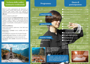 volaninoseminario pag 1